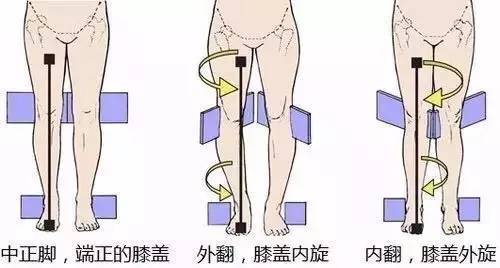 你并不是真的腿短,纠正"假胯宽"拥有逆天大长腿!