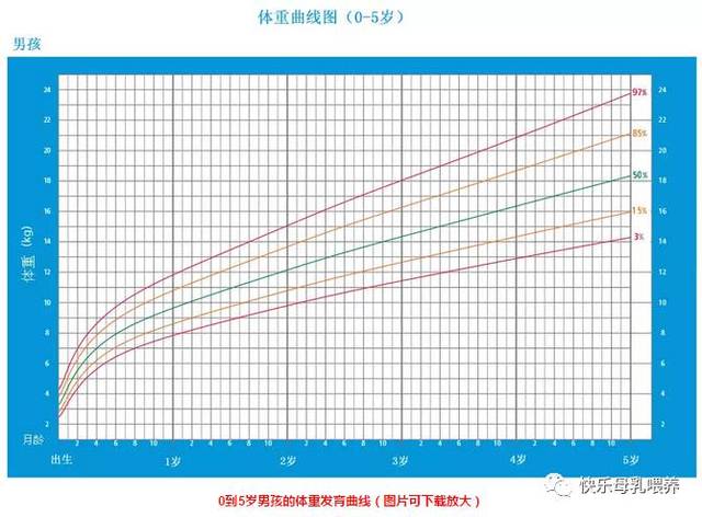 手把手教你学会使用宝宝的生长曲线 | 带你远离焦虑,理性面对质疑