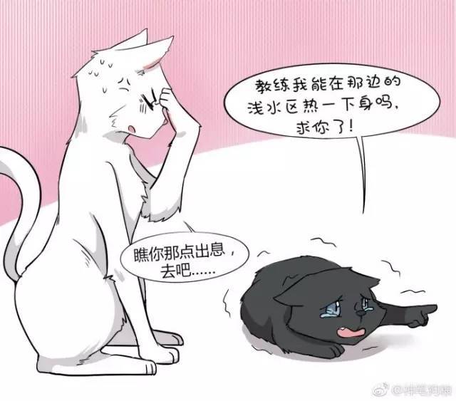 黑猫:教练,我能在那边的欠税区热一下身吗,求你了!