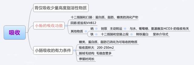 生理学思维导图,医学生收藏!