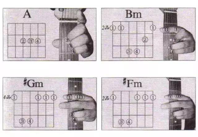 音乐让生活更美好 公众号:滨海琴行(bhqh98) 吉他常用和弦图及指法图