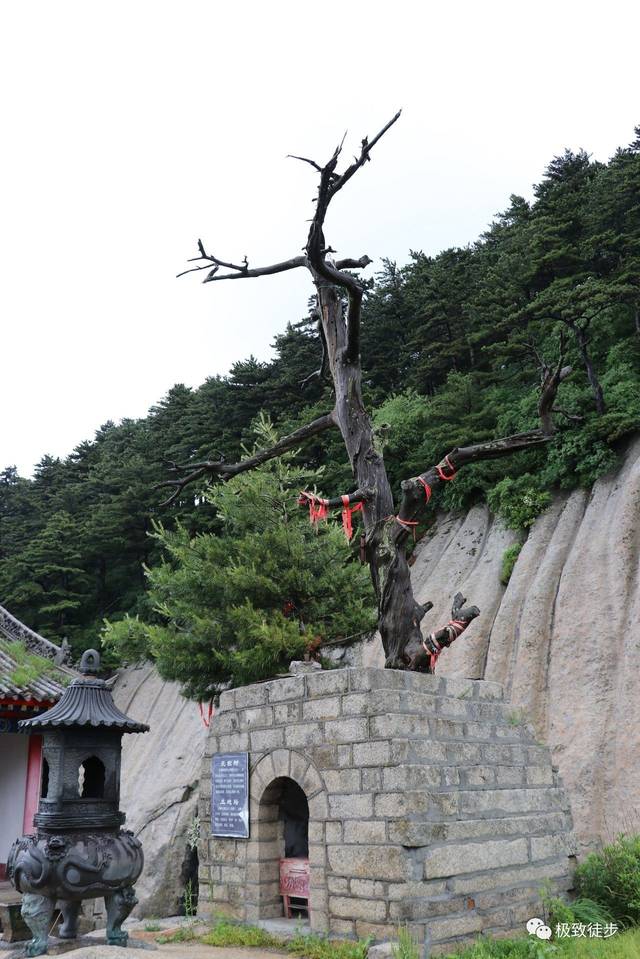 玉女祠前有石臼5个,传为弄玉洗头盆 第一日住宿就在华山中峰玉女祠内