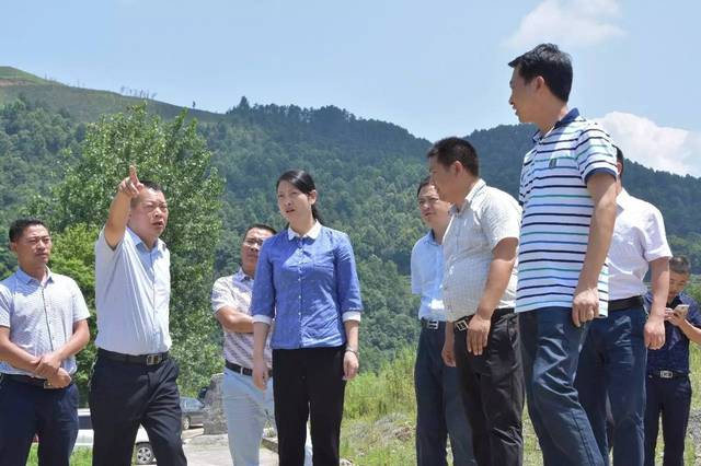 谭诤紧急调度花山地质灾害防治工作