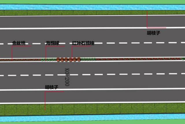 中央道路标准段三平面图