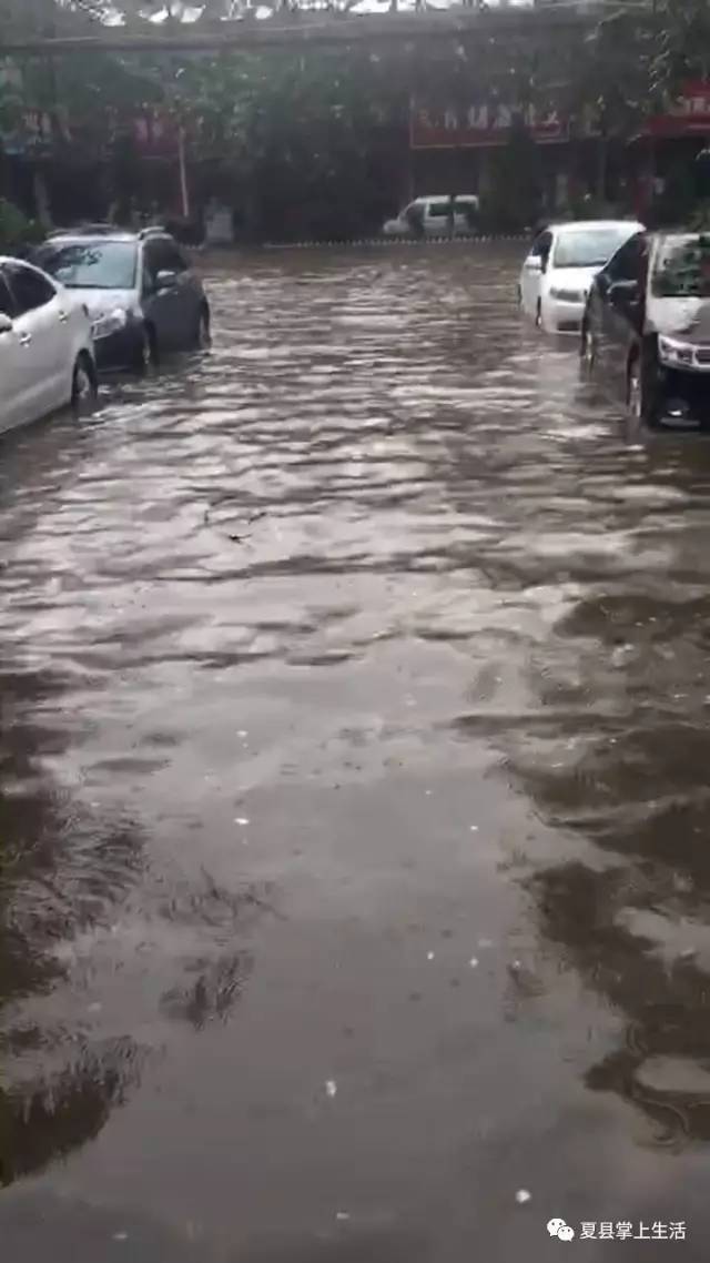 夏县下暴雨了,快看看有多大,视频里的小车都漂起来了