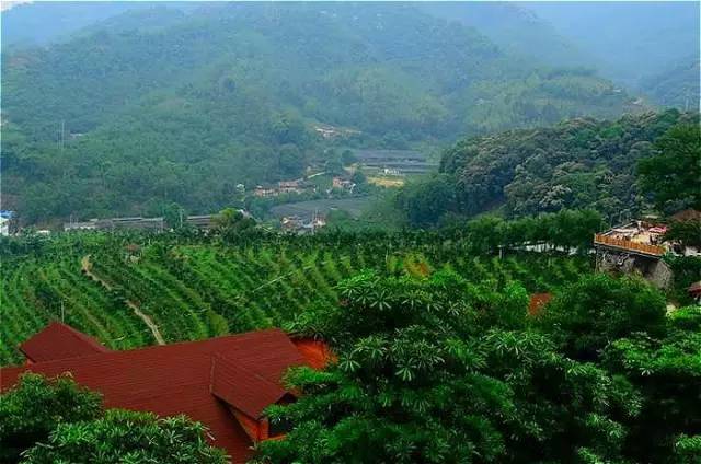 石门岩风景区位于南靖县船场镇星光村梧宅后山东麓,景区方圆十多公里