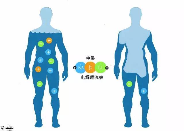 人体大量出汗时流失的不仅是水分,还有钠,钾等人体必需的电解质