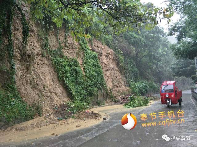 【雨况汇总】今日奉节大雨你最想知道的情况都在这里!