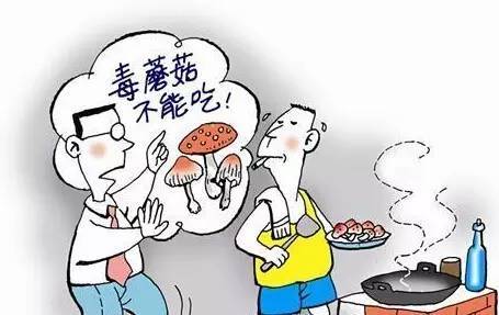 食不什么饱成语_一什么不什么成语(3)