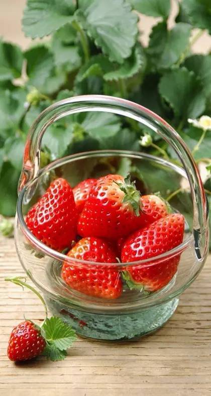 【草莓】唯美诱人草莓主题手机壁纸
