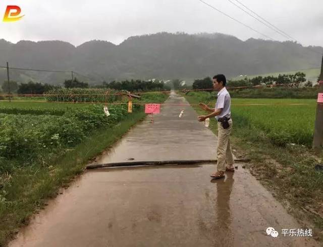 平乐县阳安乡:干群携手齐抗洪 灾后重建在行动