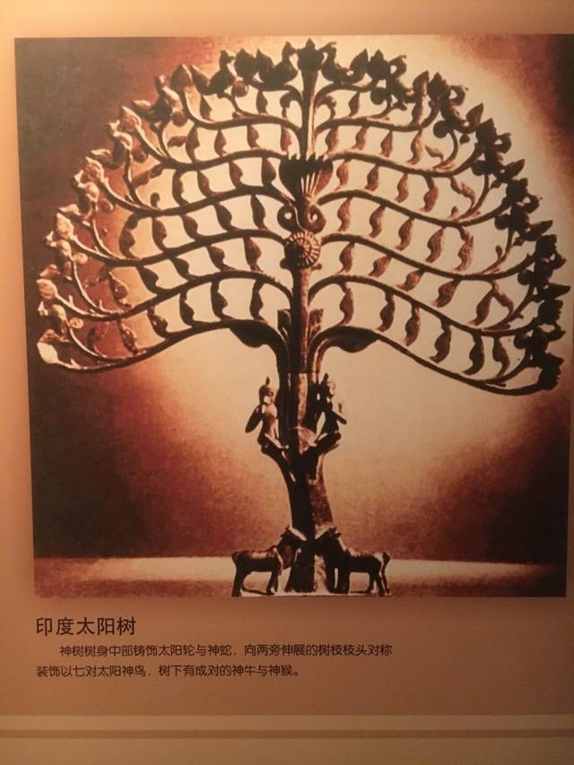 长沙马王堆汉墓帛画"扶桑树"画了九个太阳,最大的太阳内栖金乌.