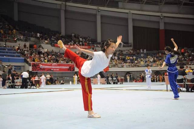 中年组与老年组的武术选手们 要么是衣决飘飘仙风道骨 要么是劲装短打