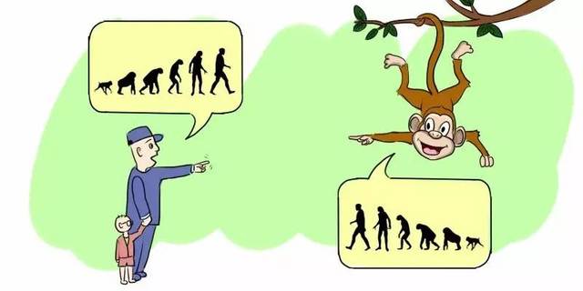 人类竟会进化成猴子?细思极恐.