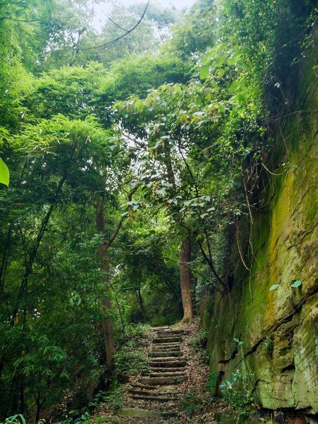 赏嘉陵江小三峡,逛白羊背古镇,走张飞古道,景美人少还免费