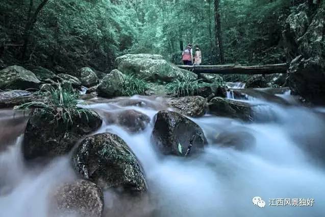 景德镇瑶里汪湖原始森林