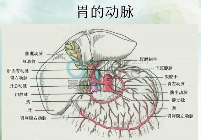 深圳第二人民医院体检中心男性个人体检