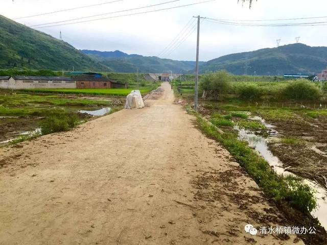 【灾后重建】清水桥镇有力有序推动灾后重建工作