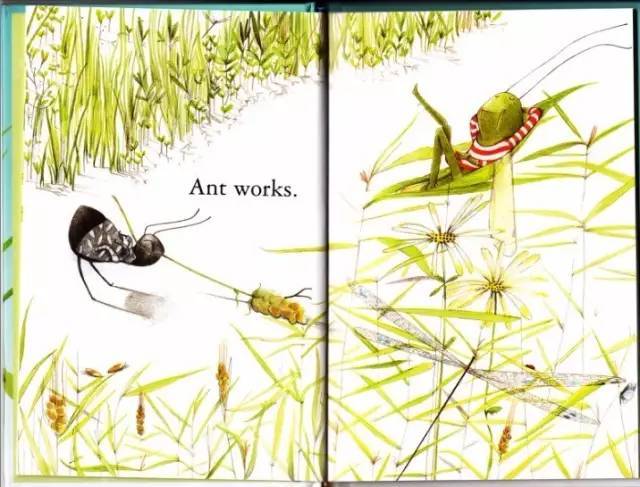 绘本欣赏《the ant and the grasshopper》 蚂蚁和蚱蜢