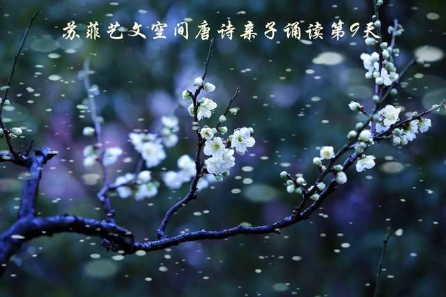 【唐诗亲子诵读】 第9天:卢照邻《梅花落》