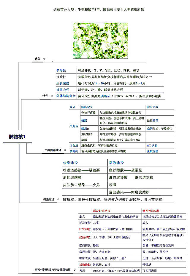 26张呼吸系统全套执业医师/考研思维导图笔记