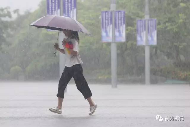 嗯,雨下得是挺大的,可除了把人淋湿,并没有什么卵用啊!