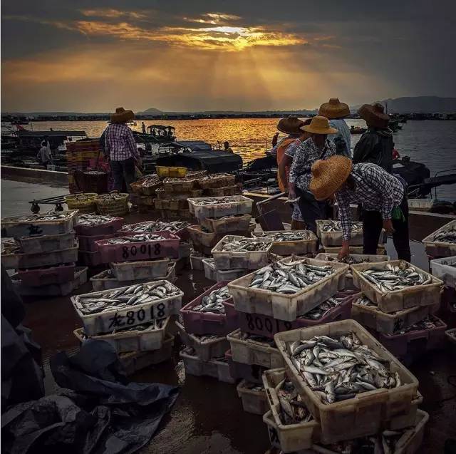 陵水疍家,不安居却乐业的海上吉普赛人