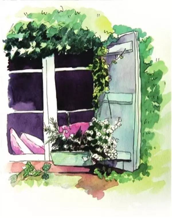 窗台风景的绘画步骤六 三,蜡笔与水彩:蒲公英的绘画步骤 1,先用铅笔画