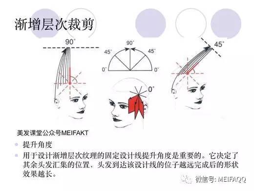 美发基础四大层次修剪慨诉