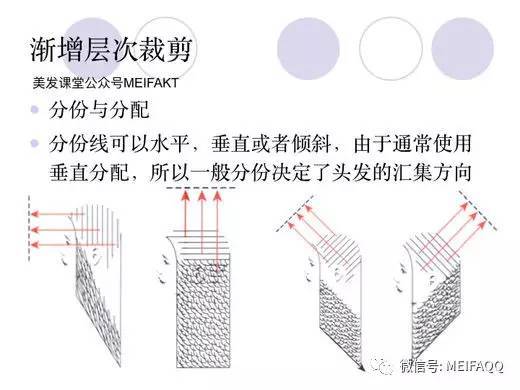 美发基础四大层次修剪慨诉