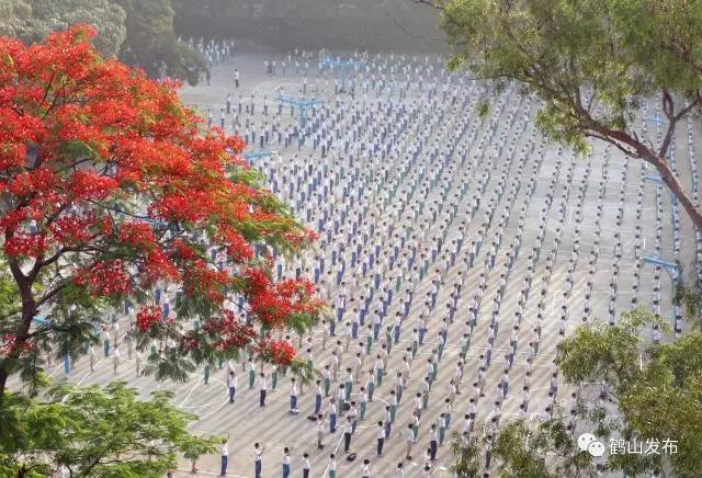 文明校园 鹤山的中学都这么酷炫了!你还认得你的母校吗?