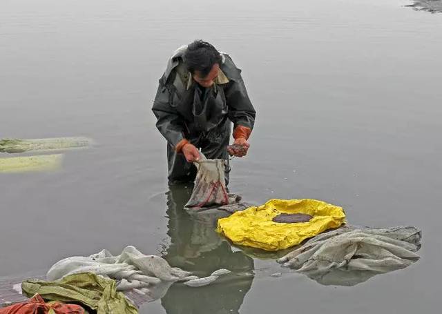 运城连日出现高温天气,盐湖除了生产盐,硝,镁之外,还生产大量的卤虫