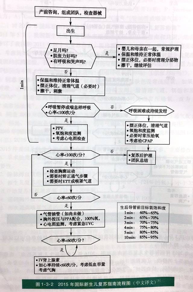 【必须收藏】中国新生儿复苏指南(2016)解读