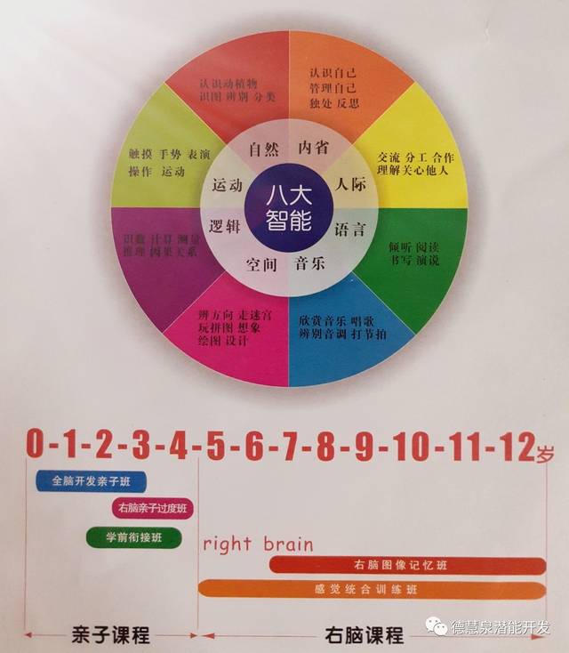 德慧泉"感统"揭秘之--感统训练对孩子的好处及家长的那些误区