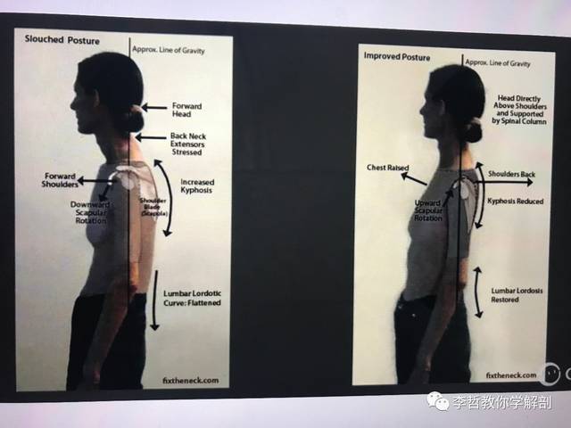 学员精彩笔记(23)---超级全面而仔细的肩胛骨评估教程