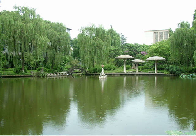 西华大学