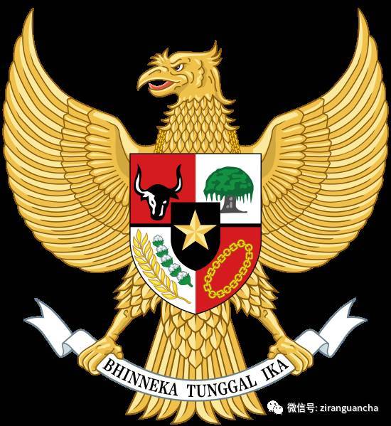 1993年,爪哇鹰雕成为印尼的国鸟,在印尼国徽上出现.