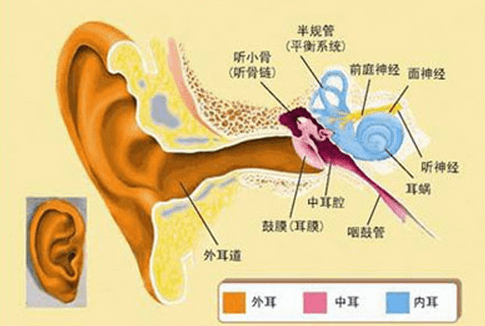 分析耳朵嗡响原因 韩百通教你怎样摆脱耳鸣困扰法