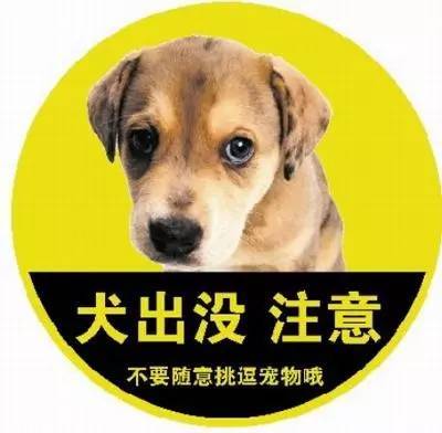 狂犬病人口水会传染吗_科普︱狂犬病的危险被夸大了吗