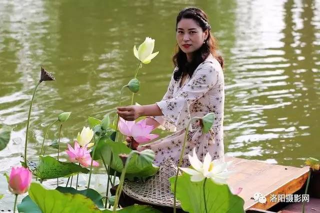 洛阳大河古渡,荷塘荷花乌逢船,旗袍美女采莲蓬,黄河野生全鱼宴