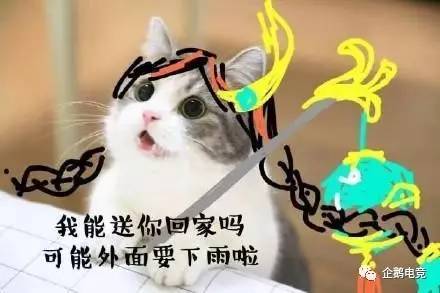 王者荣耀猫咪超可爱表情包: 请尽情吩咐妲己主人