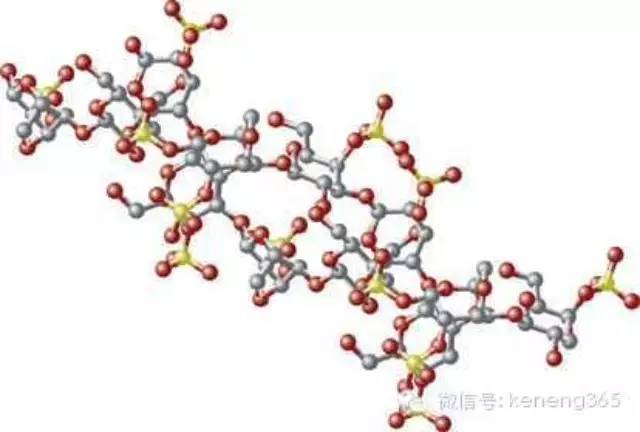 壳寡糖,甲壳素衍生物之一,甲壳素脱乙酰后成壳聚糖,壳聚糖被生物酶