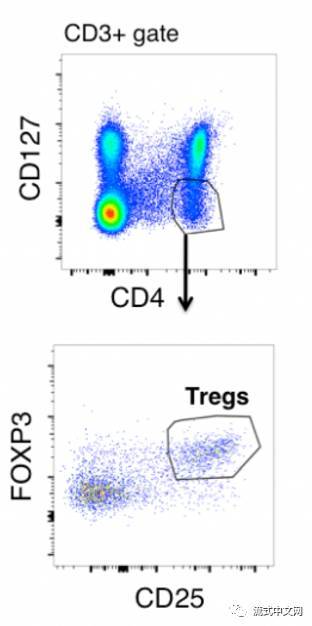 Treg标准设门和亚群区分,需要注意的是门
