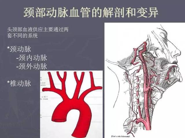 介入医学课件│颈部血管cta成像的临床应用