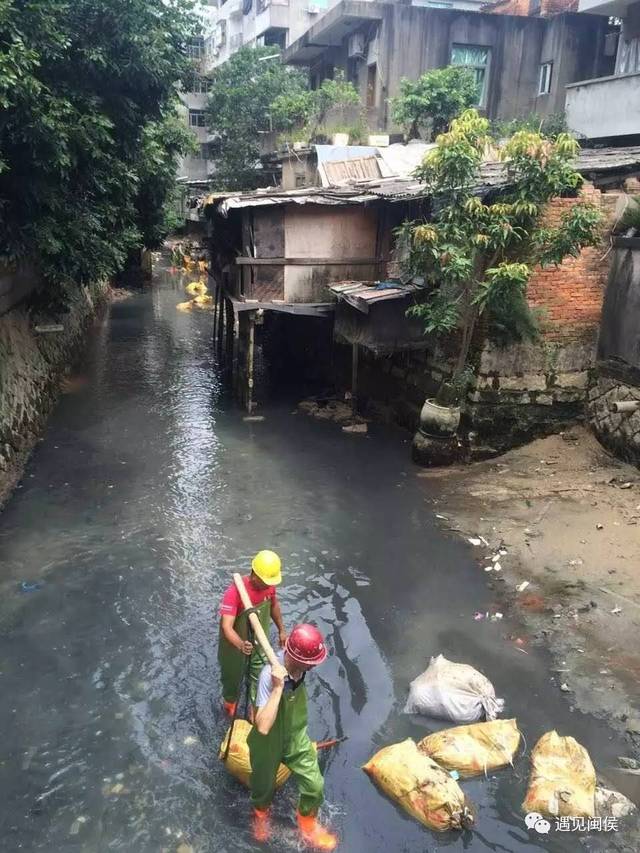 (枕峰村内河清淤祥谦镇供图)