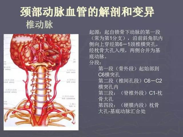 介入医学课件│颈部血管cta成像的临床应用