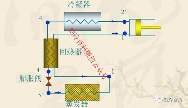 冷冻原理 什么循环_冷冻扁平疣是什么原理