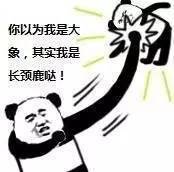 表情包!拜托,你很弱唉!