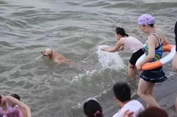 杭州8岁女孩小河里游了几次野泳,竟染上这种