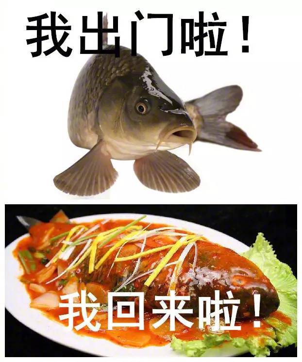 大热天出去玩,容易吗我?